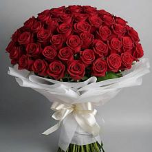 Букет 101 Красная роза Блэк Мэджик в Кологриве
