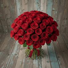Букет 55 Красных роз Фридом #REPLACE_PRED# Кологриве