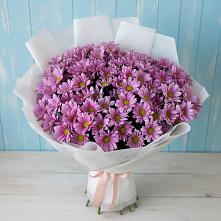 Букет цветов из:  Хризантемы в Кологриве