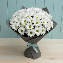 Букет цветов из:  Хризантемы #REPLACE_PRED# Кологриве
