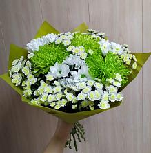 Букет цветов из:  Хризантемы #REPLACE_PRED# Кологриве