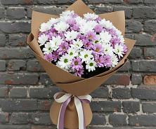 Букет цветов из:  Хризантемы в Кологриве