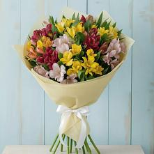 Букет цветов из:  Альстромерии #REPLACE_PRED# Кологриве
