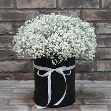 Цветочная композиция из Гипсофила в шляпной коробке в Кологриве