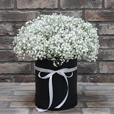 Цветочная композиция из Гипсофила в шляпной коробке в Кологриве